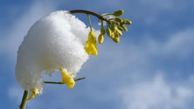 Ի՞նչպիսի եղանակ է սպասվում առաջիկայում