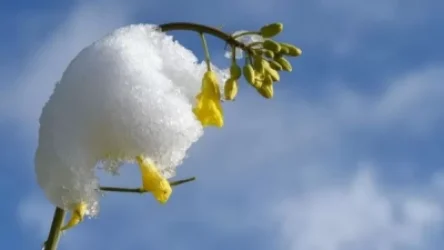 Ի՞նչպիսի եղանակ է սպասվում առաջիկայում