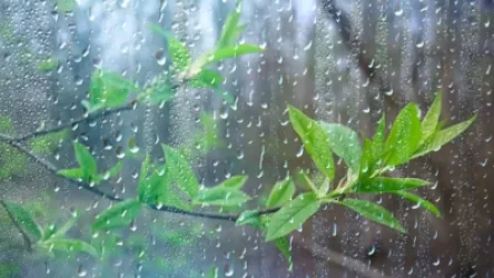 Տեղումներ կլինեն. առաջիկա օրերի եղանակը