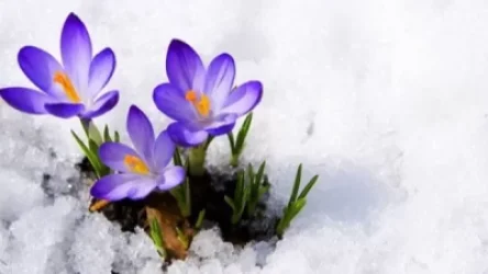 Ինչ եղանակ է սպասվում առաջիկա օրերին