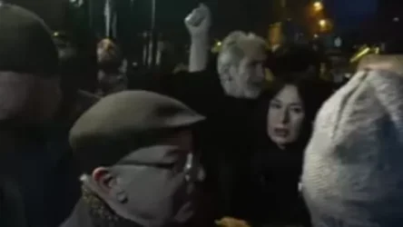 Նաիրա Զոհրաբյանն ու գործընկերները կենդանի պատ են կազմել ոստիկանների ու ակտիվիստների միջև