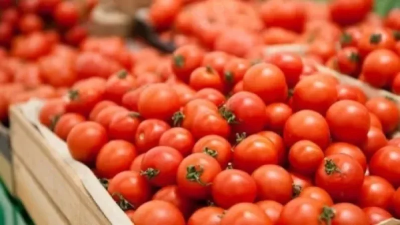 Հայաստանը Թուրքիայից մեծ քանակությամբ լոլիկ, վարունգ է ներկրել. «Ժողովուրդ»