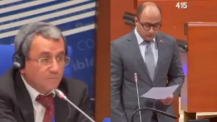 ՏԵՍԱՆՅՈՒԹ. Ինչպես են Թուրքիայի և Ադրբեջանի ներկայացուցիչները փորձում ընդհատել են ԵԽԽՎ-ում հայ պատվիրակի Արցախի մասին ելույթը