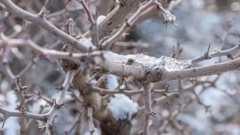 Հանարապետությունը գտնվելու է հզոր ցիկլոնի ազդեցության գոտում. ԱԻՆ-ը տեղեկացնում է