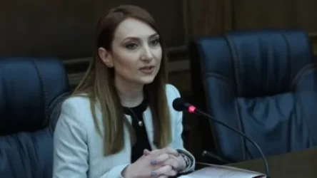 «Իմ քայլն» արձանագրել է, որ զինվորականների կողմից քաղաքականությանը միջամտելն անընդունելի է. Մակունց