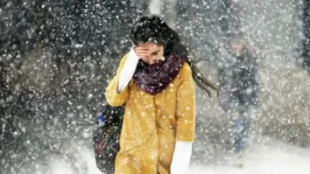 Զգալի կցրտի. եղանակի տեսություն