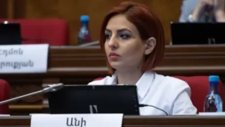 Ինչու է ՄԻՊ գրասենյակը հարվածի տակ. Անի Սամսոնյանը հայտրարությունը