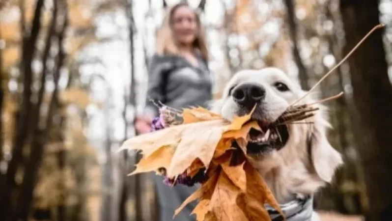 Առաջիկա 4 օրվա եղանակի կանխատեսում