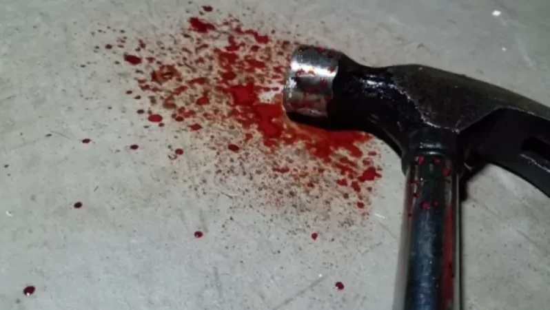 Մուրճով և փայտով հարվածներ է հասցրել, հետո բարձով խեղդել. 35-ամյա տղամարդը դատապարտվել է 18 տարվա ազատազրկման՝ սպանության համար