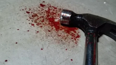 Մուրճով և փայտով հարվածներ է հասցրել, հետո բարձով խեղդել. 35-ամյա տղամարդը դատապարտվել է 18 տարվա ազատազրկման՝ սպանության համար