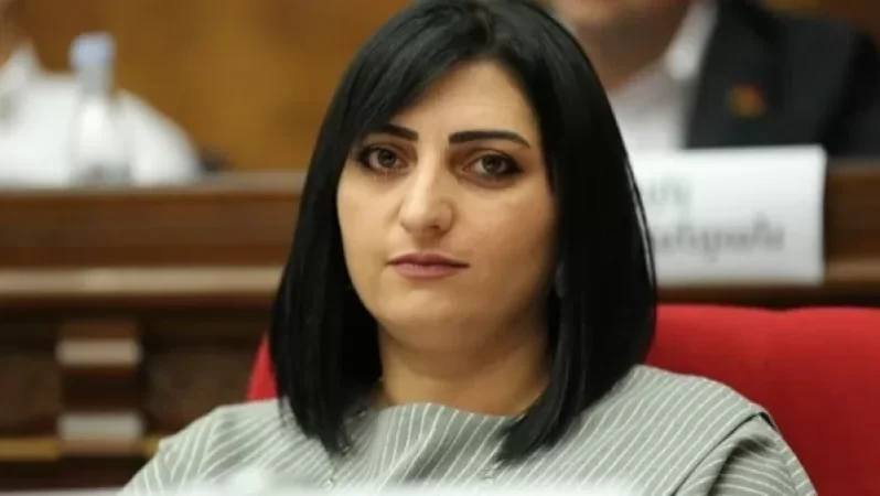 Հրատապ դիմել եմ միջազգային գործընկերներիս, Ադրբեջանը մտադիր է նոր ագրեսիա անել. Թովմասյան