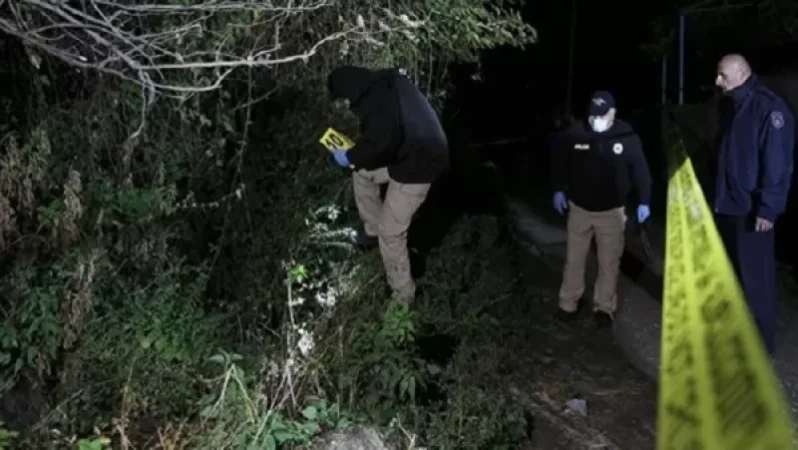 Կրակոցներ Վրաստանի ընդդիմադիր «ՄԱՇ» կուսակցության կենտրոնական գրասենյակի մոտ