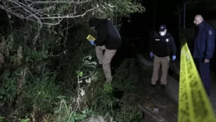 Կրակոցներ Վրաստանի ընդդիմադիր «ՄԱՇ» կուսակցության կենտրոնական գրասենյակի մոտ