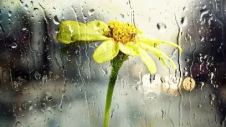 Կարճատև անձրև ու ամպրոպ կլինի. եղանակի տեսություն