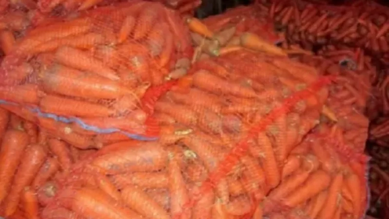 Հրդեհ՝ Դիմիտրով գյուղում. ջերմահարվել է 400 կգ գազար