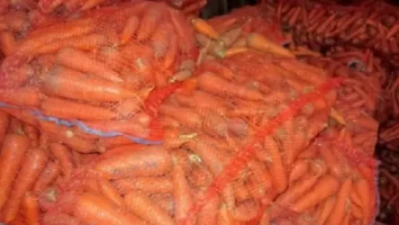 Հրդեհ՝ Դիմիտրով գյուղում. ջերմահարվել է 400 կգ գազար