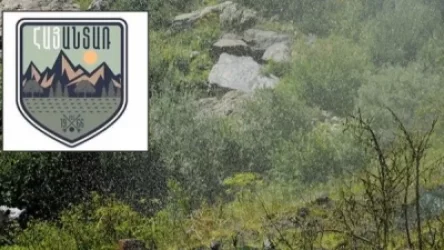 «Հայանտառ»-ի 83 աշխատակից մի քանի տարի երկրում չի եղել, բայց աշխատավարձ է դուրս գրվել