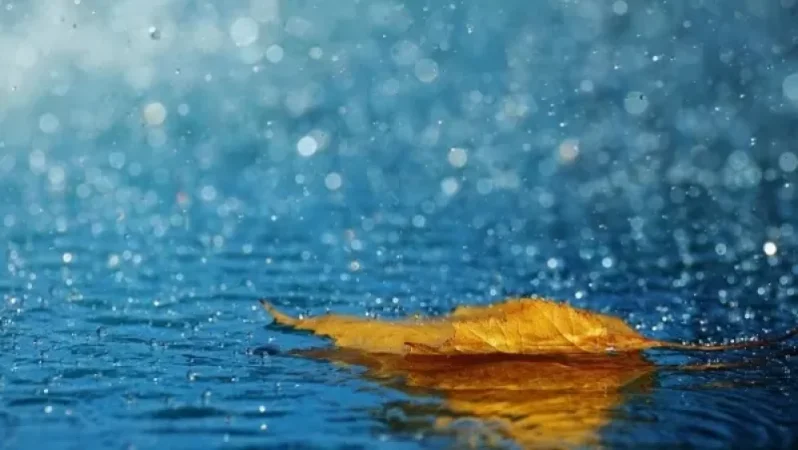 ԵՂԱՆԱԿ. Շրջանների զգալի մասում սպասվում են տեղումներ