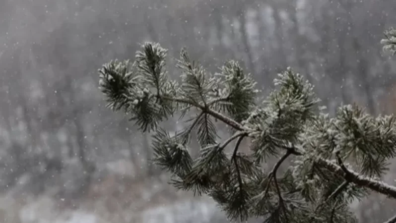 Աշոցքի և Արագածի տարածաշրջաններում ձյուն է տեղում