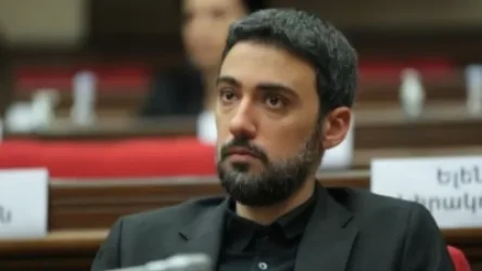 «Դատարանը» կալանավորում է 22 տարեկան, պարզապես դատավորի օգնականի կարգավիճակ ունեցող աղջկա. Վարդևանյան