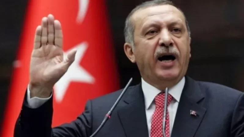 Victory Achieved with Turkey's Support and Azerbaijan's Army Heroism: Erdogan