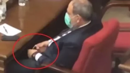 ՏԵՍԱՆՅՈՒԹ. Փաշինյանի շարժումները մատնում են ՍՈւ– 30 ՍՄ կործանիչների մասին ստերը. Անի Գևորգյան