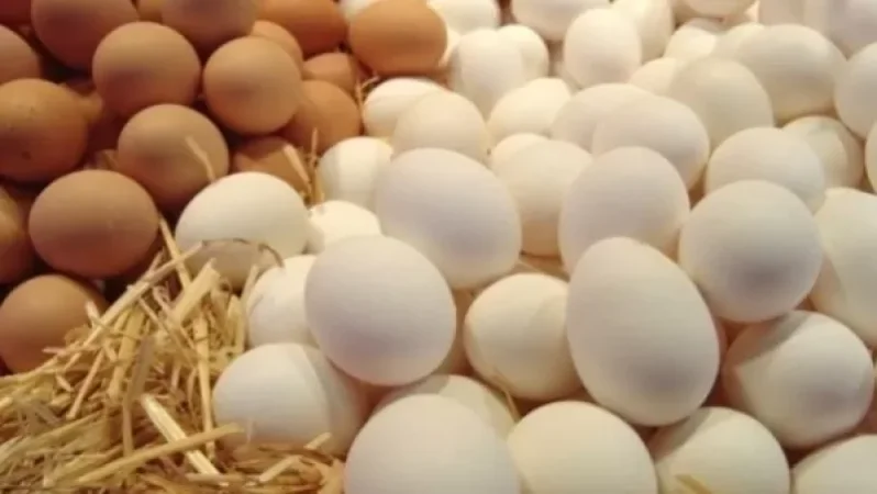 Հայտնի է՝ ինչու է ձվի գինը հասել 110 դրամի. «Ժողովուրդ»