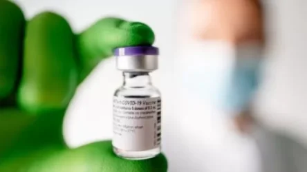 ՌԴ-ն գրանցել է կենդանիների համար նախատեսված կորոնավիրուսի դեմ աշխարհում առաջին պատվաստանյութը