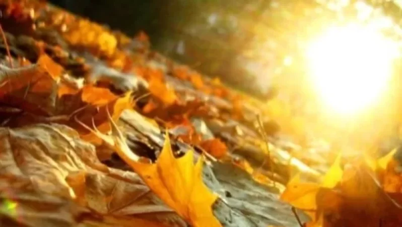 Ի՞նչ եղանակ է սպասվում. մանրամասներ