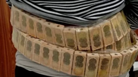 Տղամարդը փորձել է մարմնին ամրացրած տուփերով մեղուներ անցկացնել վրաց-թուրքական սահմանով