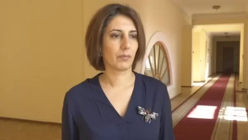 Բացի այս թրքասեր մասսայից Հայաստանում ապրում է մի հզոր ազգ. Սոֆյա Հովսեփյան