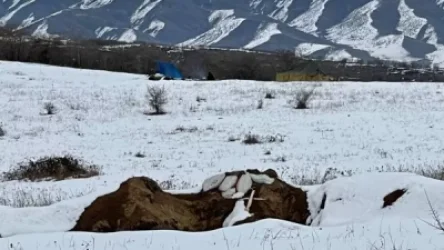 Ռուս թղթակիցը` Դավիթ Բեկում գտնվող հայկական դիրքերի մասին