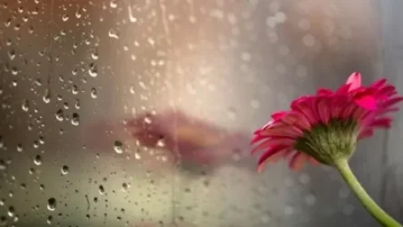 Ապրիլի առաջին օրը կանձրևի. եղանակի տեսություն