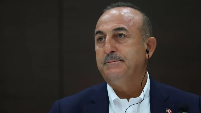 Շվեդիայի հակաահաբեկչական գործողություններն անբավարար են․ Չավուշօղլու