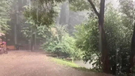 Ահա այսպիսի տեղատարափ անձրեւ ներկա պահին Մոսկվայում