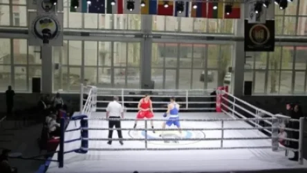 Ադրբեջանցիները չեն ներկայացել հայ բռնցքամարտիկների հետ մենամարտերին