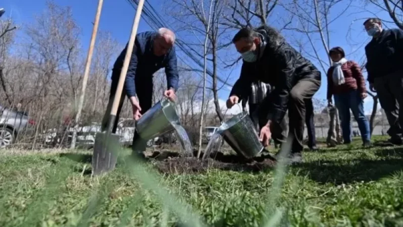 100 ծառ ՝ ի հիշատակ Հայրենական պատերազմի զոհերի. Երևանը միացավ «Հիշատակի այգի» ակցիային