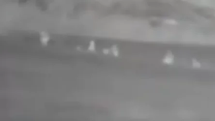 ՏԵՍԱՆՅՈՒԹ. Ադրբեջանական դիվերսիոն խմբի ոչնչացումը