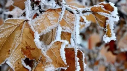 Հանրապետության որոշ շրջաններում ձյուն է տեղում․ ԱԻՆ