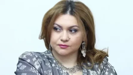 ԱԱԾ-ն վերադարձրեց համակարգիչս, հեռախոսս, դատախազությունն իմ դեմ քրգործ հարուցեց․ Էլիբեգովա