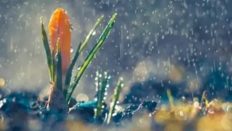 Եղանակը Հայաստանում