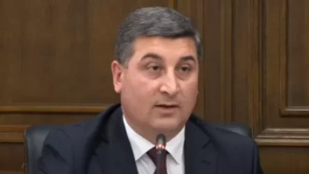 ՏԵՍԱՆՅՈՒԹ․ Խնձորեսկ-Գորիսից 5000 գլուխ անասուն են գողացել ադրբեջանցիները․ Գնել Սանոսյան