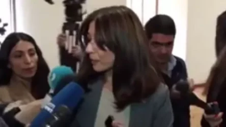 ՏԵՍԱՆՅՈՒԹ. Այդպես էր պետք. Արփի Դավոյանը` Փաշինյանի ծափ տալու մասին