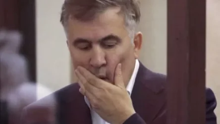 Սաակաշվիլիի մոտ տուբերկուլյոզ և դեմենցիա հիվանդությունների կասկածներ կան. փաստաբան