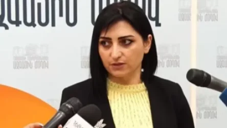 Մտավախություն ունեն, որ խմբակցությունից դուրս եկողներ կլինեն. Թագուհի Թովմասյան