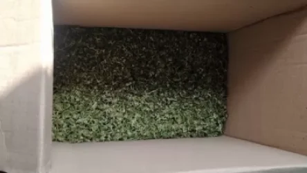 ՏԵՍԱՆՅՈՒԹ. Կոտայքի ոստիկաններն առանձնապես խոշոր չափի թմրանյութ են հայտնաբերել