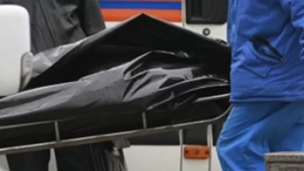 Մոր, 8 և 12-ամյա երեխաների դիերի վրա եղել են կտրող-ծակող վերքեր․ մանրամասներ