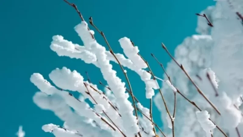 Հանրապետության տարածքում պասվում է բուք, նաև ձյուն կտեղա. եղանակի կանխատեսում