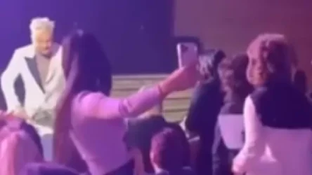 ՏԵՍԱՆՅՈՒԹ. Կիրկորովը համերգի ընթացքում ծաղկեփնջով հարվածել է երկրպագուի դեմքին