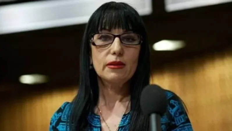 Aliyev Considers Armenians as Dogs and Jackals, While Our Organization Remains Silent - Naira Zohrabyan at PACE